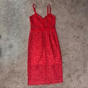 Express Lace Knee Length Dress